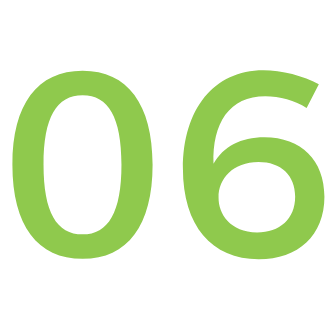 06